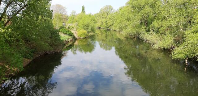 ... idyllische Leineaue ...