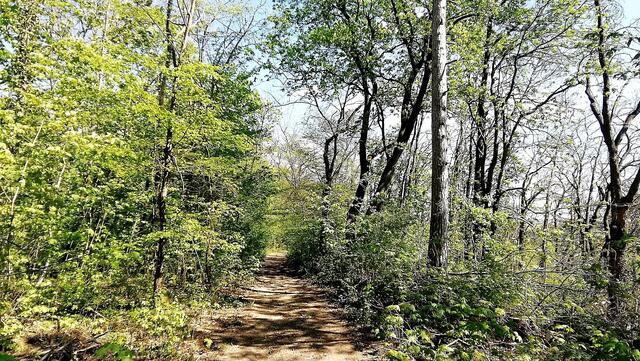 Rundgang durch den Vitzenburger Park am 26.4.2020 !