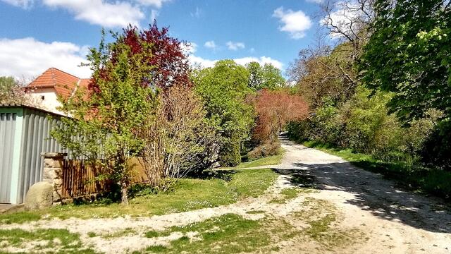 Rundgang durch den Vitzenburger Park am 26.4.2020 !
