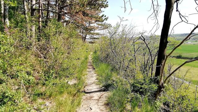 Rundgang durch den Vitzenburger Park am 26.4.2020 !