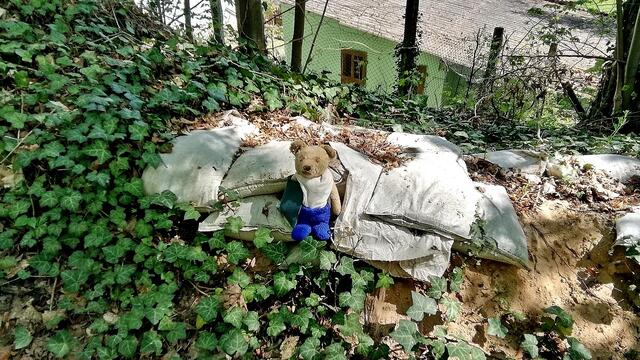 Rundgang durch den Vitzenburger Park am 26.4.2020 !