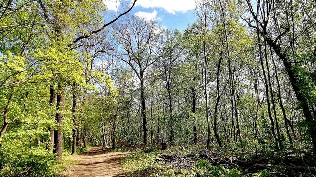 Rundgang durch den Vitzenburger Park am 26.4.2020 !