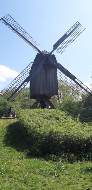 ... gleich weiter zur Alten Mühle am Annateich ...