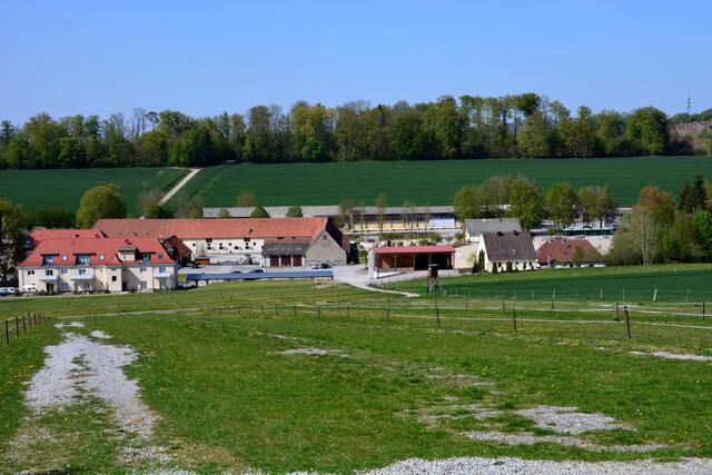 Blick auf die Reitanlage in Balve-Wocklum vom Trostwald aus.