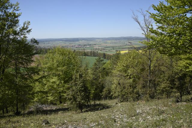Volkmarsen, Herbsen