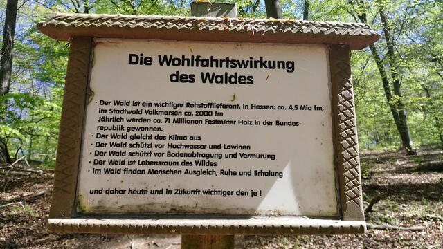 ganz WICHTIG .........unser WALD - auch, oder grade jetzt