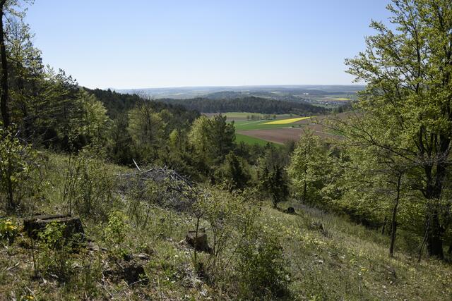 Richtung Süden - in der Mitte das Scheidfeld/Volkmarsen, wo ich schon so oft unterwegs war