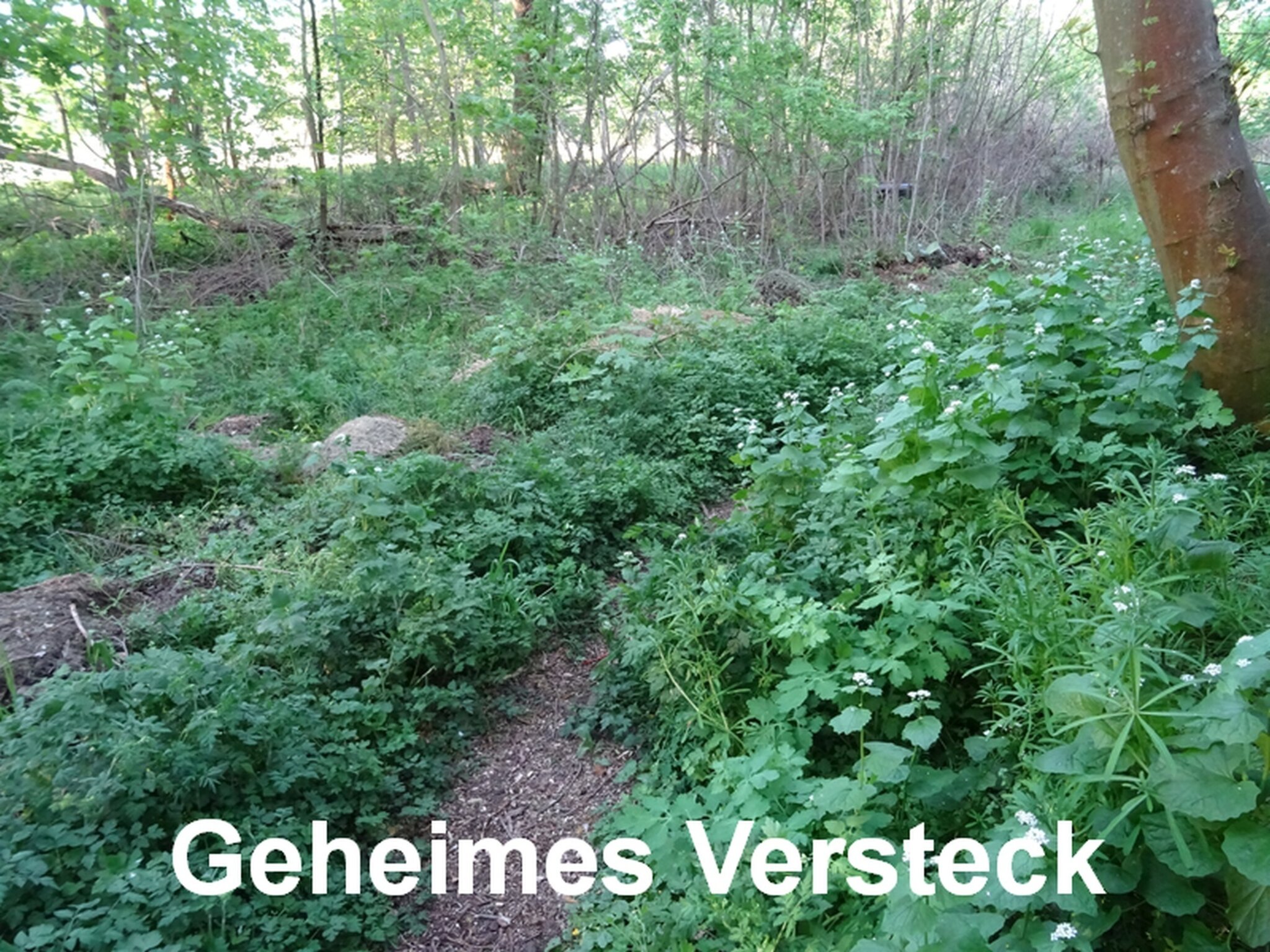 Geheimversteckschlüssel - Thermometer Design 16cm Wandversteck