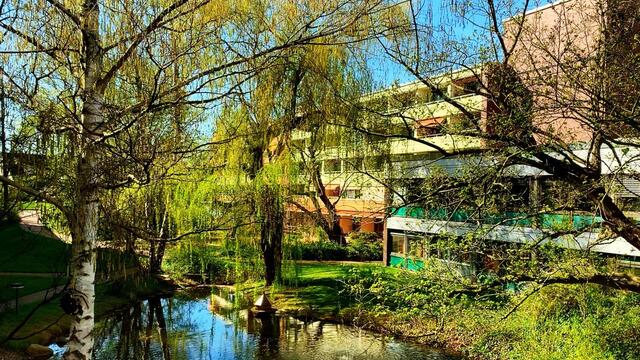 April 2020. Im Park des GDA Wohnstift Hannover am Teich.