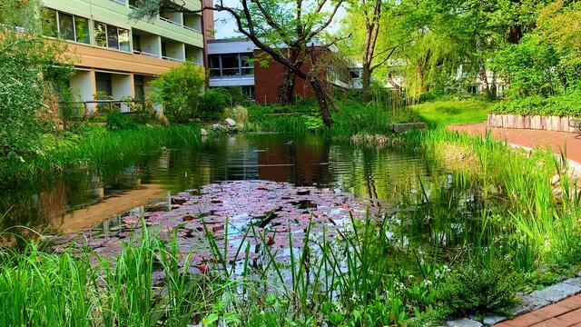April 2020. Im Park des GDA Wohnstift Hannover am Teich.