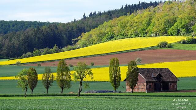 Feldscheune. Links oben im Wald befindet sich die Heilquelle Bergheim. Gut für Leber, Darm u. Magen.