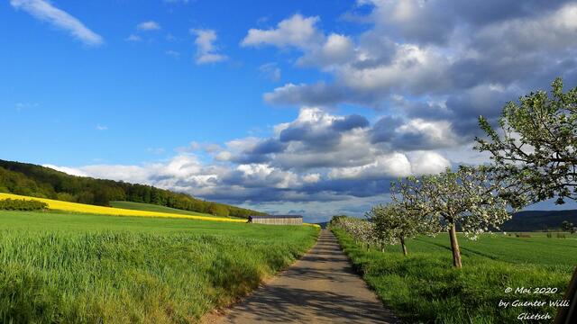 Blick Richtung EDERTAL-Wellen.
