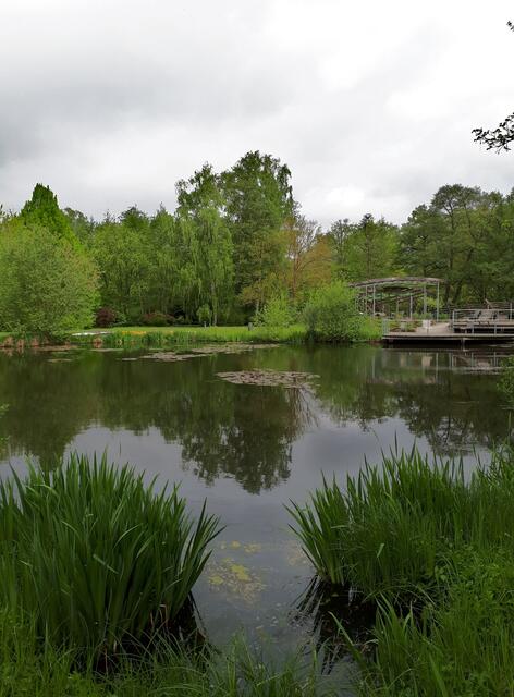 Frühlingsgrün rund um den Kurparksee