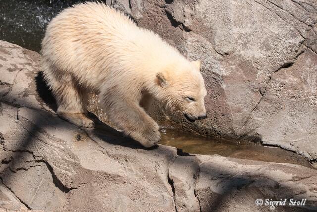 Ich geh dann mal baden...