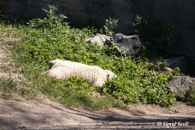 Nun reichts, schachmatt... ich übrigens auch