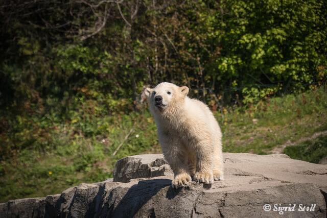 Wer sind die denn alle dort oben?