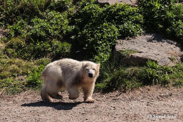 ...na egal, ich geh wieder spielen