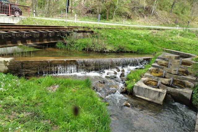 oben Bahngleise der Selketalbahn, darunter fließt der aus Friedrichsbrunn kommende Uhlenbach mit Fischtreppe