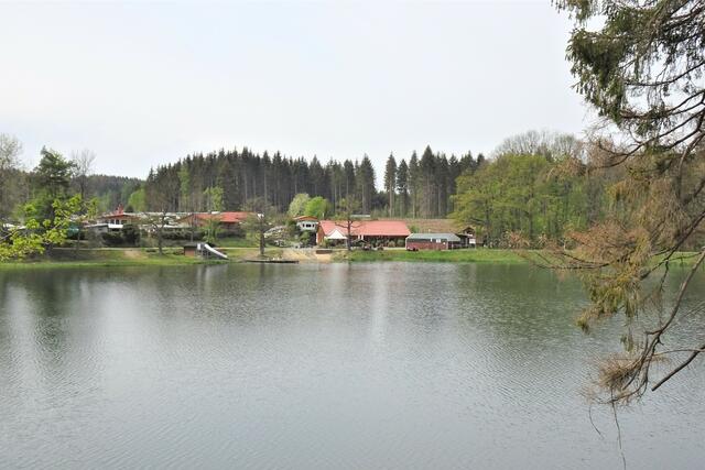 Birnbaumteich