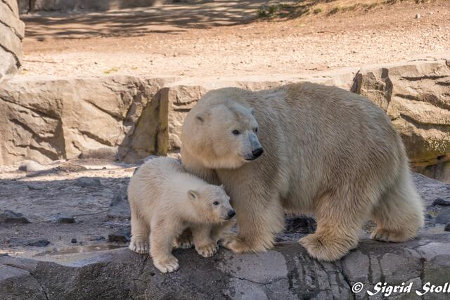 ... und warum gucken die denn alle so?