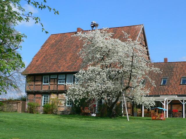 Die "Alte Burg"