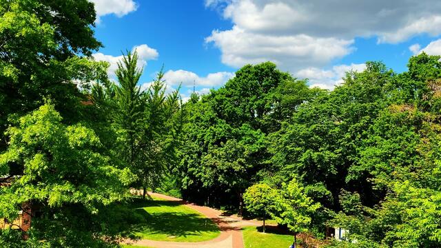 14. Mai 2020. Balkonkonzert I. mit Hardy's Jazzband in unserem Park.