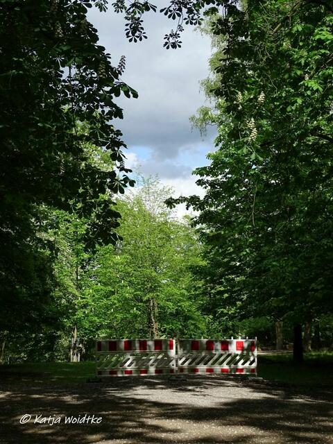 Wegen Corona sind Teile des Tiergartens für Besucher gesperrt - Waldbaden im Tiergarten Hannover (Foto: Katja Woidtke)