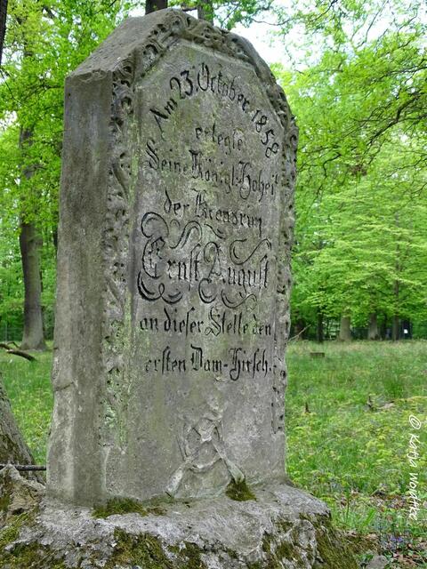 Gedenkstein im Tiergarten Hannover (Foto: Katja Woidtke)