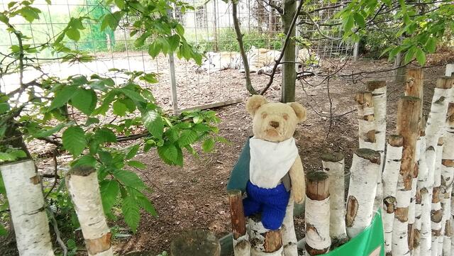 Kommt mit O'Brain in den Tierpark !