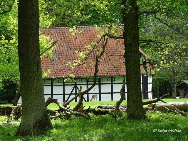 Vorratsscheune am Futterplatz - Waldbaden im Tiergarten Hannover (Foto: Katja Woidtke)