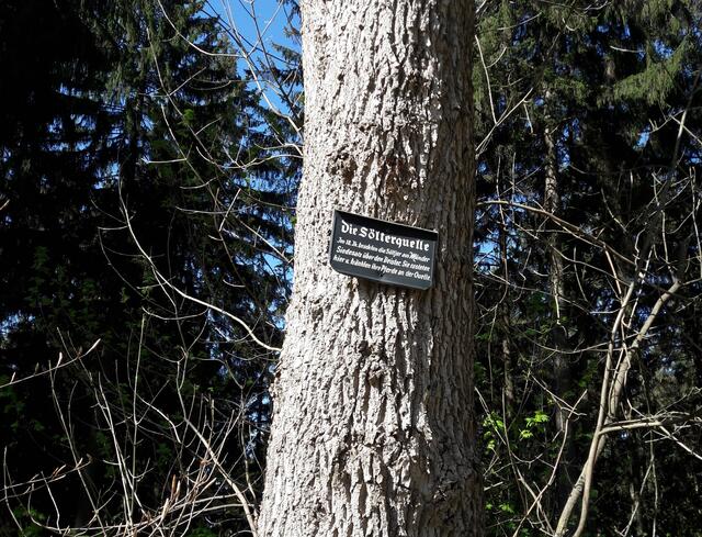 Söltjerquelle Schwarzer Weg