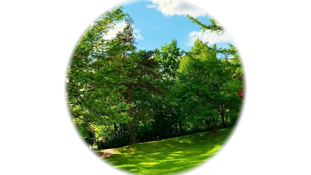 14. Mai 2020. Balkonkonzert IV. mit Hardy's Jazzband in unserem Park.