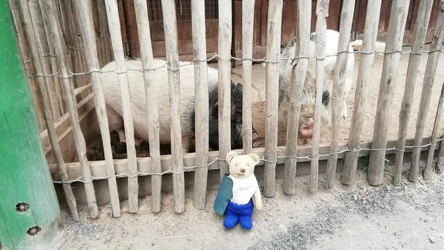 Kommt mit O'Brain in den Tierpark !