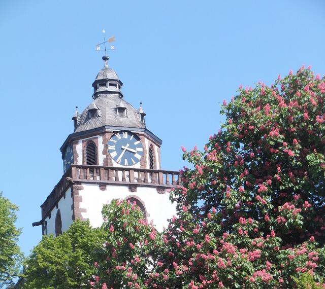 Der Kirchturm ist auf allen Wegen im Park zu sehen