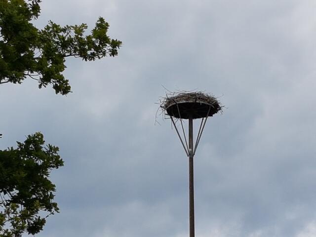 Sonderpunkt 1: Storchennest an der Kreuzwippe in Engelbostel.