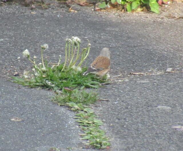 Auch dieses Bild hilft mir nicht wirklich weiter.