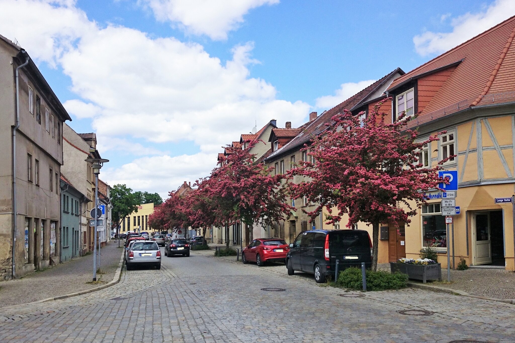 Die LANGE REIHE in ASCHERSLEBEN vor über 100 JAHREN Aschersleben