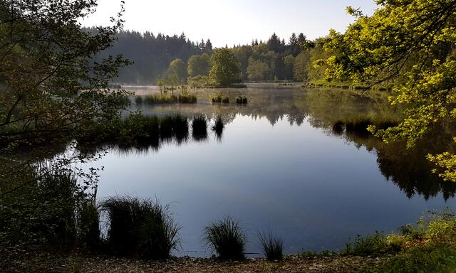 "Salzsee" bei Autenried
