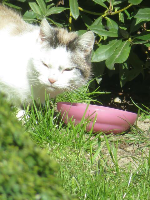 Guckt ob keiner guckt.