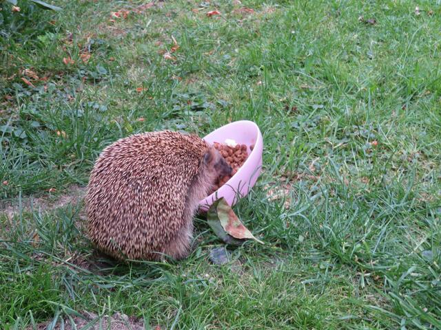 Oh wie das schmeckt.