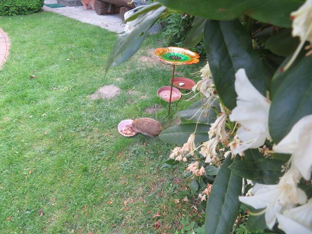 So ich bin jetzt satt,ist ja noch etwas drin.