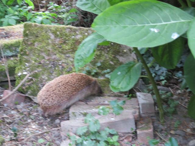 Gut das ich so klettern kann.