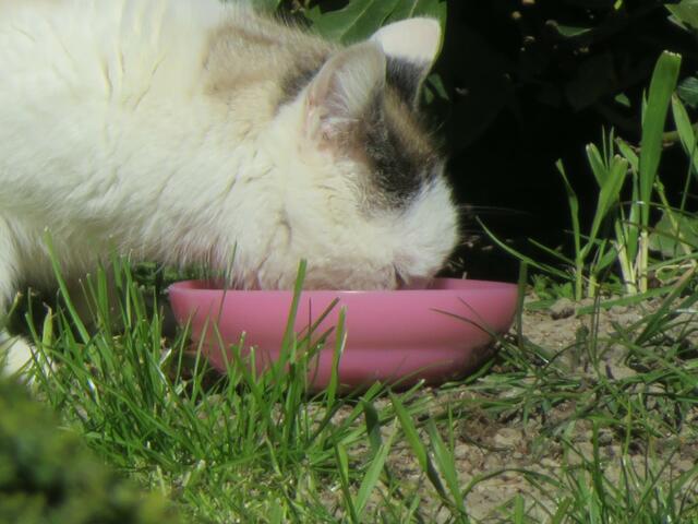 Ja das schmeckt mir immer,doch heute hatte ich Pech.