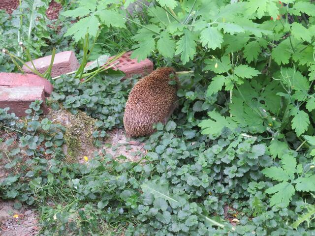 Diese Ecke ist besonders gut.