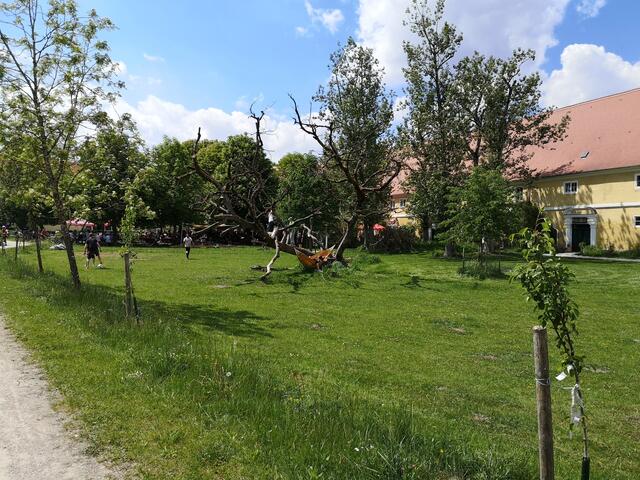 Ausflug Schloss Blumenthal