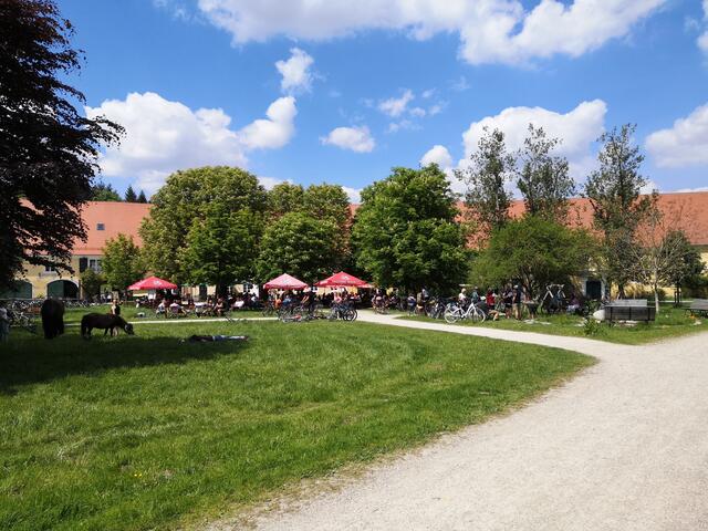 Ausflug Schloss Blumenthal