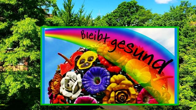 21. Mai 2020. II. Balkon Konzert. Wilhelm Uden mit der Drehorgel.