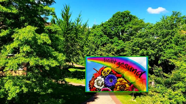 21. Mai 2020. I. Balkon Konzert. Wilhelm Uden mit der Drehorgel.