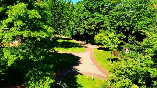 21. Mai 2020. II. Balkon Konzert. Wilhelm Uden mit der Drehorgel.