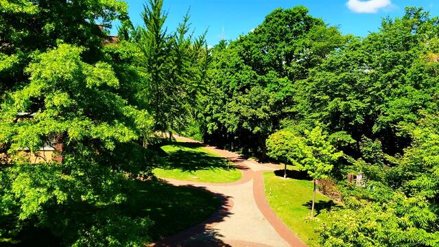 21. Mai 2020. I. Balkon Konzert. Wilhelm Uden mit der Drehorgel.
